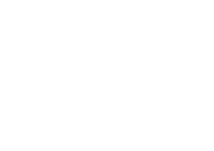 google-partner-logo-2BA563BAC5-seeklogo.com